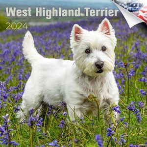 West Highland Terrier 2024 Calendar