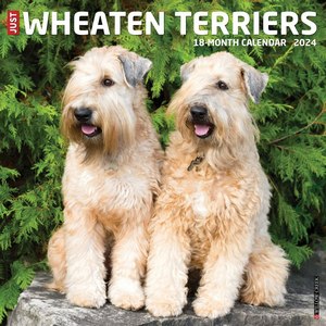 Wheaten Terriers 2024 Calendar