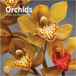 Orchids 2024 Calendar