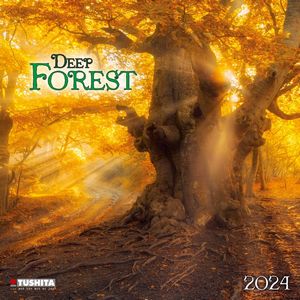 Deep Forest 2024 Calendar
