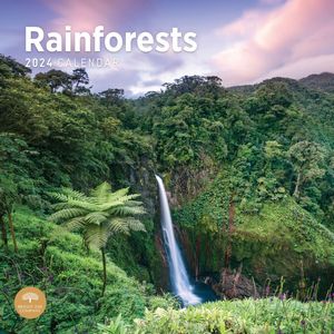 Rainforest 2024 Calendar