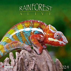 Rainforest Alive 2024 Wall Calendar