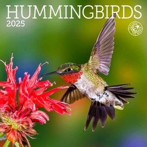 Hummingbirds 2025 Mini Wall Calendar