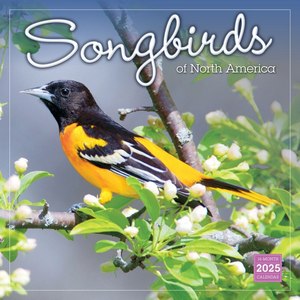 Songbirds 2025 Calendar