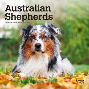 Australian Shepherds 2025 Mini Wall Calendar