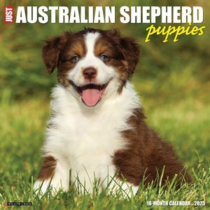 Australian Shepherd Puppies 2025 Wall Calendar