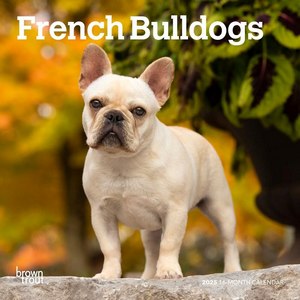 French Bulldogs 2025 Mini Wall Calendar