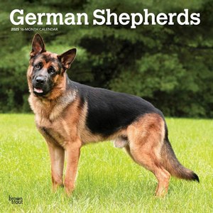 German Shepherd Puppies 2025 Mini Wall Calendar