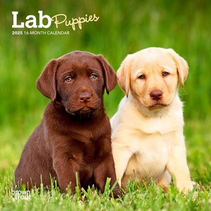 Lab Retriever Puppies 2025 Mini Wall Calendar