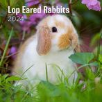 Lop-Eared Rabbits 2024  Calendars