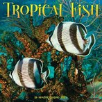 Tropical Fish 2024 Calendars