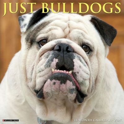 Just Bulldogs 2027 Calendar