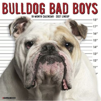 Bulldog Bad Boys 2027 Wall Calendar