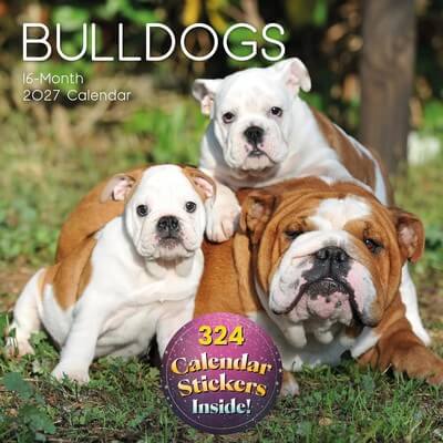Beachbum Bulldogs and other Adventures Calendar