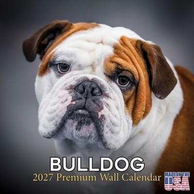 Beachbum Bulldogs and other Adventures Calendar