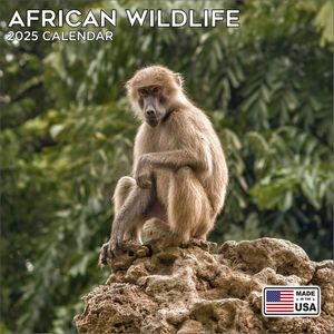 African Wildlife 2025 Calendar