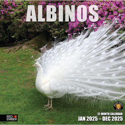 Albinos 2025 Calendar