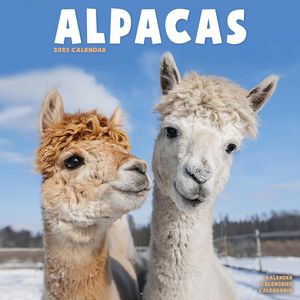 Alpacas 2025 Calendar