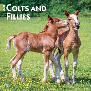 Colts And Fillies 2025 Calendar