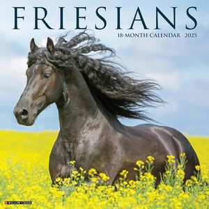 Friesians Calendars