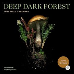 Deep Dark Forest 2025 Caendar