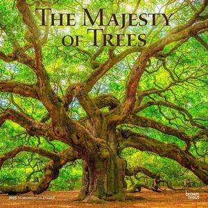 The Majesty of Trees 2025 Calendar