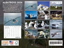 Albatross 2026 Calendar