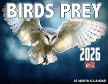 Birds of Prey 2026 Wall Calendar