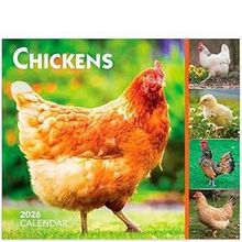 Fancy Chickens Photo 2026 Wall Calendar