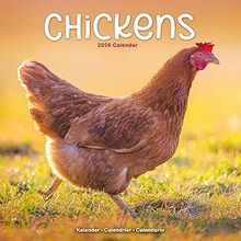 Chickens 2026 Calendar