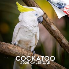 Cockatoo 2026 Calendar