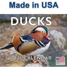 Ducks 2026 Calendar