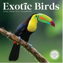 2026 Exotic Birds Calendar