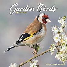 Garden Birds 2026 Wall Calendar