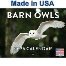Barn Owls 2026 Calendar