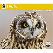 Owls WWF 2026 Wall Calendar