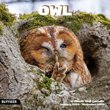 Owls 2026 Calendar