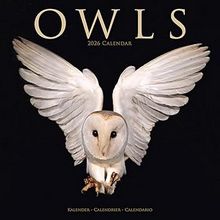 Owls 2026 Calendar