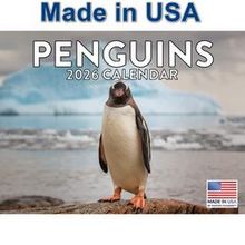 Penguins 2026 Calendar