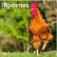 Roosters 2026 Calendar