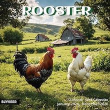 Roosters 2026 Calendar