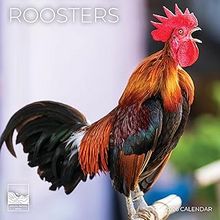 Roosters 2026 Calendar