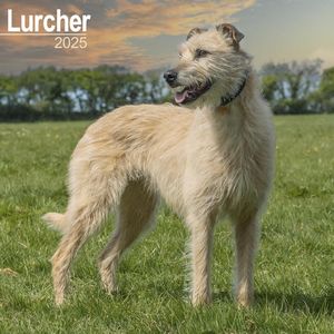 Lurcher 2025 Wall Calendar