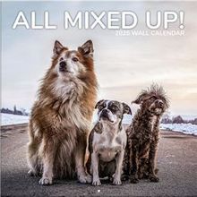 All Mixed Up! 2025 Calendar
