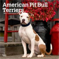 2026 American Pit Bull Terriers Calendar