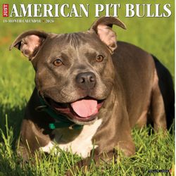 Just American Pit Bulls 2026 Calendar