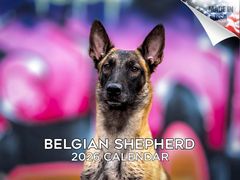 Belgian Shepherd 2026 Calendar