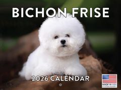 Bichon Frise 2026 Wall Calendar
