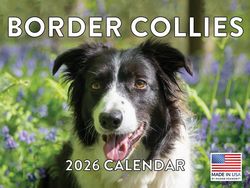 Border Collies 2026 Calendar