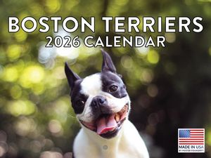 Boston Terriers 2026 Calendar